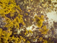 Mweenish Beach